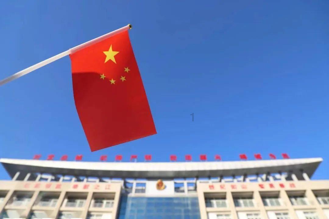 口袋侏罗纪
